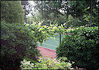 Tennis court