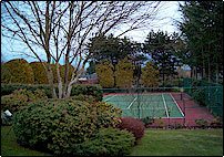 Tennis court