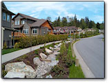 Silver Ridge Development: roadside drainage