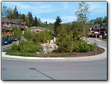 Silver Ridge Development: Green space