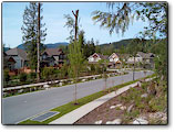 Silver Ridge Development: Generous green space