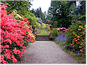 Greater Vancouver Gardening Services for Home Improvement and Home Builders