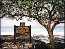 Kanahena Nature Reserve, Maui