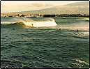 Maui North Shore Surfing