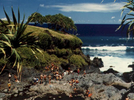 a small part of Seven Sacred Pools in Hana, Maui