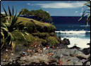 Seven Sacred Pools, Hana, Maui