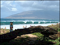 Kihei Maui Beach - Surfs Up!