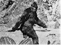 Greater Vancouver Bigfoot Sasquatch Directory