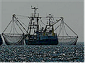 Greater Vancouver Fishing Industry Directory