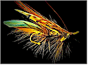 Greater Vancouver Fly Fishing Directory