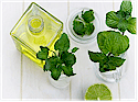 Greater Vancouver Alternative Health Directory