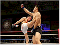 Greater Vancouver MMA Directory