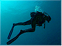 Greater Vancouver Scuba Diving Directory